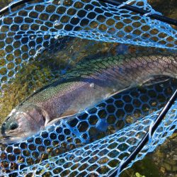 三桁釣果に大物もキャッチ！